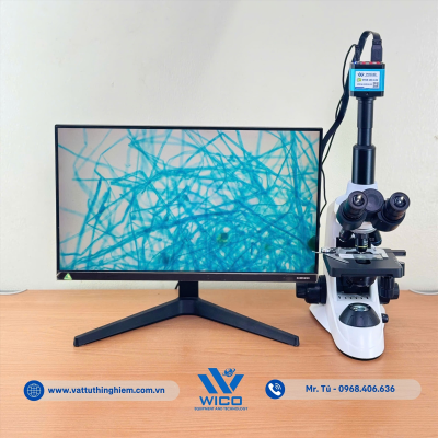 vttn-vuong-icc-1014-nam-soi (2).jpg